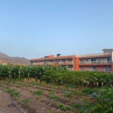 huerta-ecologica-la-aldea-suites_5